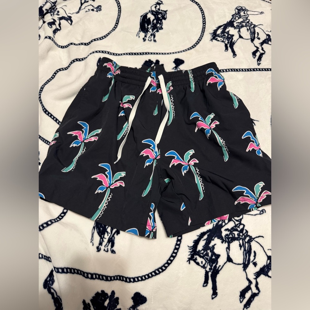 Men’s Chubbies Swim Trunks “Black Palms”